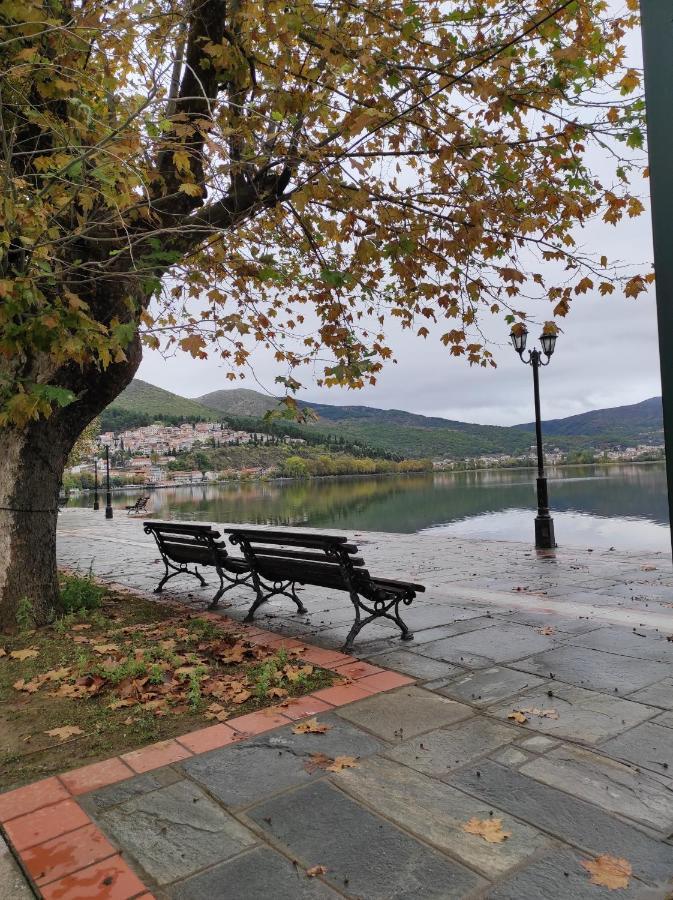 Voria Paralia Kastoria Buitenkant foto